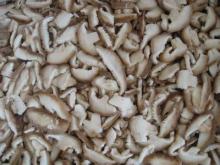 Frozen Shiitake slices