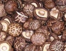  Dried   shiitake  whole