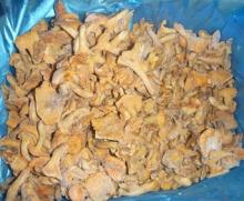 Frozen Cantharellus Cibarius