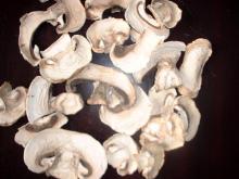 Dried   Champignon 