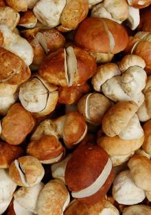  Porcini 