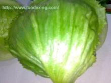 Cabbage