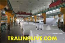  PE   COATED   PAPER 