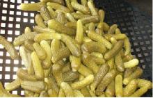 Gherkins in Acetic Acid