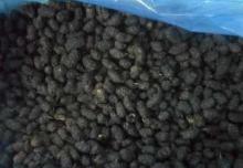 IQF Mulberry