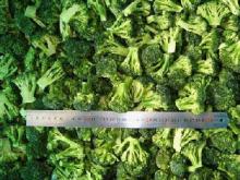  iqf   frozen   broccoli 