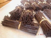 VANILLA BEANS BLACK PREMIUM GOURMET