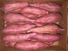 Sweet Potatoes