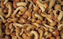 frozen nameko mushroom