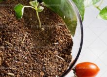 tea  seed   meal  with straw, without straw