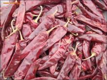 jinta chilli