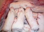 Frozen Pork Fore, Hind feet
