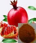 Pomegranate Extract