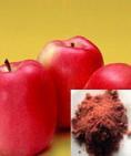 Apple Extract