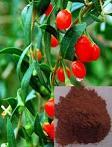 Wolfberry Extract