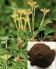 Picrorhiza Rhizome P.E.