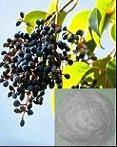 Oleanolic acid