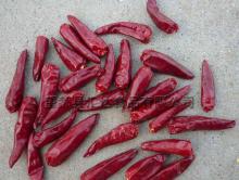 bullet pepper