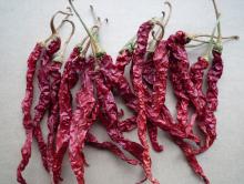 line pepper