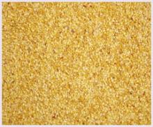 chilli seed