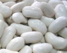 White Kidney Bean For Sale