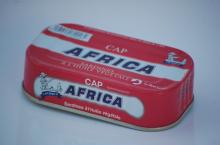 sardine in vegetable oil 125gr