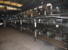 Fruit production linepiece of fruitpowder isfully  automatic , semi - automatic , high efficiency, high yi