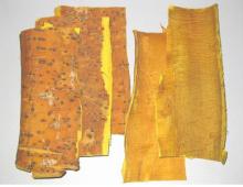 Corktree Bark/golden cypress