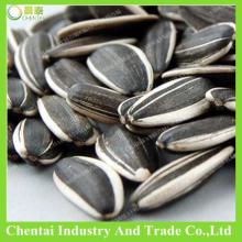 hulled edible long non gmo sunflower seeds ton price