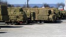 Alfalfa hay, fish meal, bone meal, yellow corn animal feed, blood meal