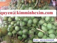 Green Coconut
