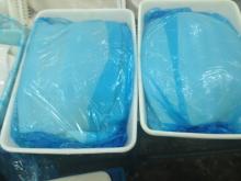 FROZEN GIANT SQUID FILLETS