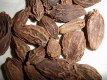 Large Cardamom