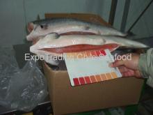 Atlantic Salmon