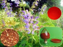 100% Natural Salvia miltiorrhiza P.E. Tanshinone IIA Salvianolic Acid B