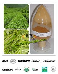 100% natural Green Tea P.E. 10%-98% Salicin, Catechin,