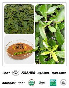 100% Natural  Senna   Leaf  P.E. Sennoside A+B