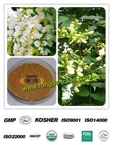 100% Natural  Kaempferol 