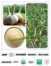 100% Natural  Garlic  Powder  Extract   Allicin 