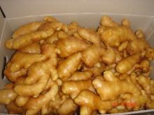 fresh gingger in plastiv bags