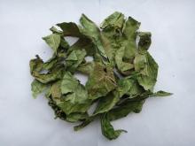  Chinese  Peach leaf