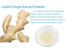 Instant Ginger Extract Powder