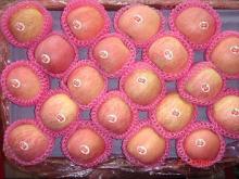 fresh fuji apple