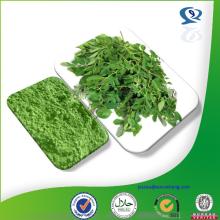 moringa powder, natural moringa powder, moringa oleifera leaf extract