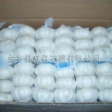 3P small  mesh   bag   5 . 0cm  normal white garlic in  10kg  Carton