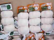 4.5cm 5.0cm 5.5cm 6.0cm pure white garlic in 3p 4p 5p mesh bag in 20kg mesh bag