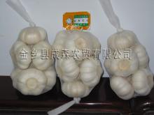 4.5cm 5.0cm 5.5cm 6.0cm pure white garlic in 500g mesh bag with 10kg Carton