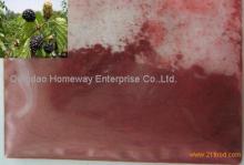 Freeze Dried Blackberry Powder