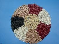 Black, Red , Speckled  and White Kidney  Beans 
