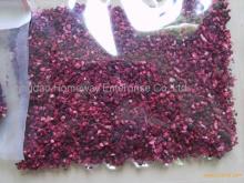 Freeze Dried Blueberry Pieces